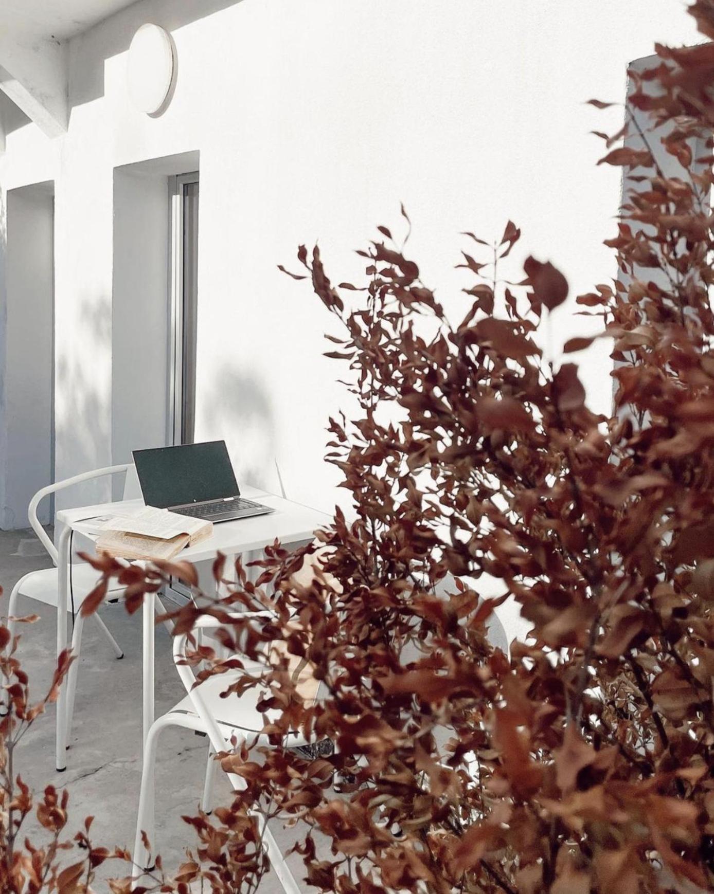 Cozy Lisbon Graca Διαμέρισμα Εξωτερικό φωτογραφία